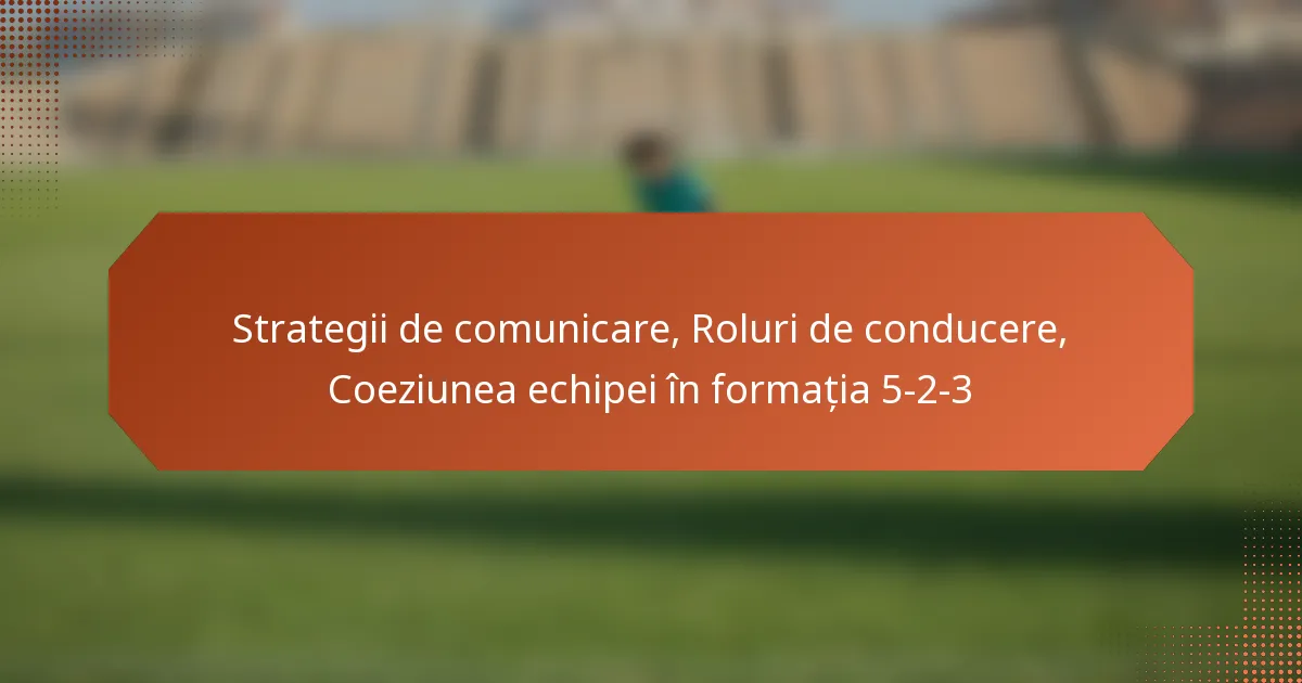 featured-image-strategii-de-comunicare-roluri-de-conducere-coeziunea-echipei-in-formatia-5-2-3
